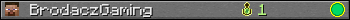 BrodaczGaming userbar 350x20