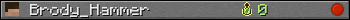 Brody_Hammer userbar 350x20