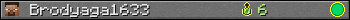 Brodyaga1633 userbar 350x20