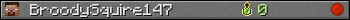 BroodySquire147 userbar 350x20