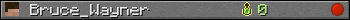 Bruce_Wayner userbar 350x20