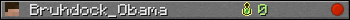 Bruhdock_Obama userbar 350x20