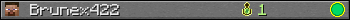 Brunex422 userbar 350x20