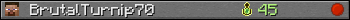 BrutalTurnip70 userbar 350x20