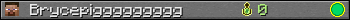 Brycepiggggggggg userbar 350x20