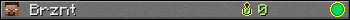 Brznt userbar 350x20