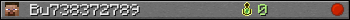 Bu738372789 userbar 350x20