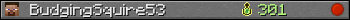 BudgingSquire53 userbar 350x20