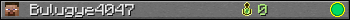 Bulugye4047 userbar 350x20