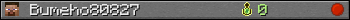 Bumeho80827 userbar 350x20