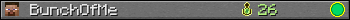 BunchOfMe userbar 350x20