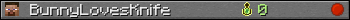 BunnyLovesKnife userbar 350x20