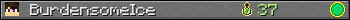 BurdensomeIce userbar 350x20