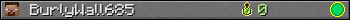 BurlyWall685 userbar 350x20