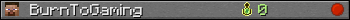 BurnToGaming userbar 350x20