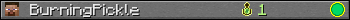 BurningPickle userbar 350x20