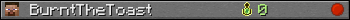 BurntTheToast userbar 350x20