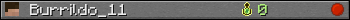 Burrildo_11 userbar 350x20