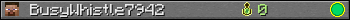 BusyWhistle7942 userbar 350x20