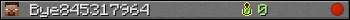 Bye845317964 userbar 350x20
