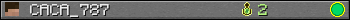 CACA_787 userbar 350x20