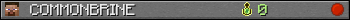 Benutzerleisten 350x20 für COMMONBRINE