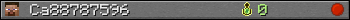 Ca88787596 userbar 350x20