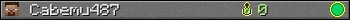 Cabemu487 userbar 350x20