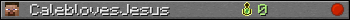 CaleblovesJesus userbar 350x20