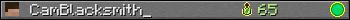 CamBlacksmith_ userbar 350x20