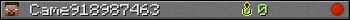 Came918987463 userbar 350x20
