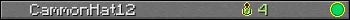 CammonHat12 userbar 350x20