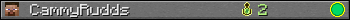 CammyRudds userbar 350x20