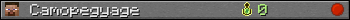 Camopegyage userbar 350x20