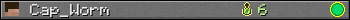 Benutzerleisten 350x20 für Cap_Worm