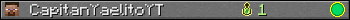 CapitanYaelitoYT userbar 350x20