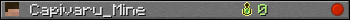 Capivaru_Mine userbar 350x20