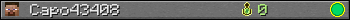 Capo43408 userbar 350x20