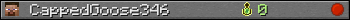 CappedGoose346 userbar 350x20