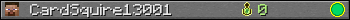 CardSquire13001 userbar 350x20