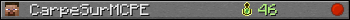 CarpeSurMCPE userbar 350x20