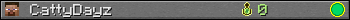 CattyDayz userbar 350x20