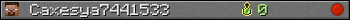 Caxesya7441533 userbar 350x20
