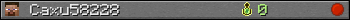 Caxu58228 userbar 350x20