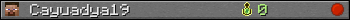 Cayuadya19 userbar 350x20