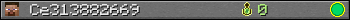 Ce313882669 userbar 350x20