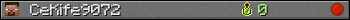 CeKife9072 userbar 350x20