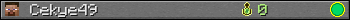 Cekye49 userbar 350x20