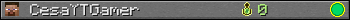 CesaYTGamer userbar 350x20