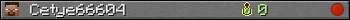 Cetye66604 userbar 350x20